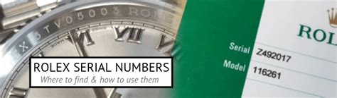 rolex watch registration number look up|register rolex serial number.